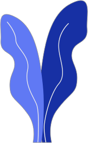 Care App
